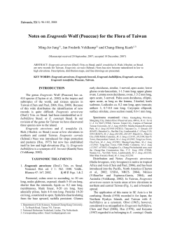 Notes on Eragrostis Wolf (Poaceae) for the Flora of Taiwan