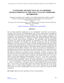 Taxonomic significance of anamorphic characteristics in the life