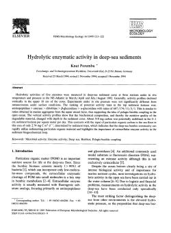 Hydrolytic enzymatic activity in deep