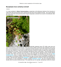 Bryophytes have certainly evolved!