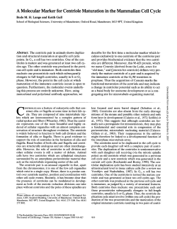 A Molecular Marker for Centriole Maturation in the Mammalian Cell