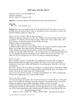 fabulous felines - Nebraska Humane Society