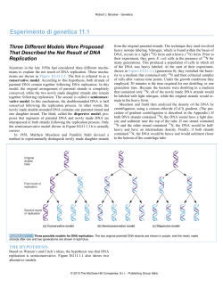 11.1 Three Different Models Were Proposed That