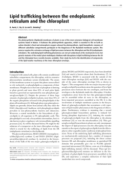 Lipid trafficking between the endoplasmic reticulum and the