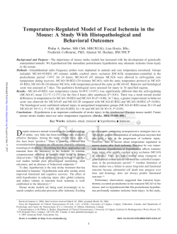 Temperature-Regulated Model of Focal Ischemia in the