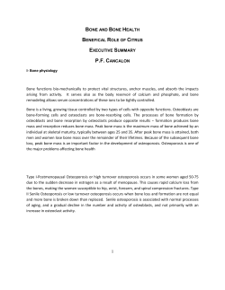 Bone Technical Review 2006