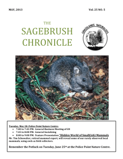 sagebrush chronicle