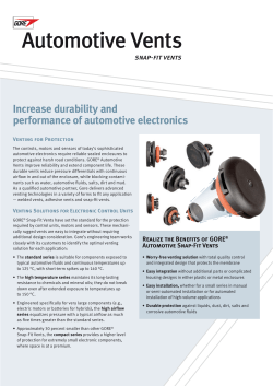 Protective Vents Automotive Vents
