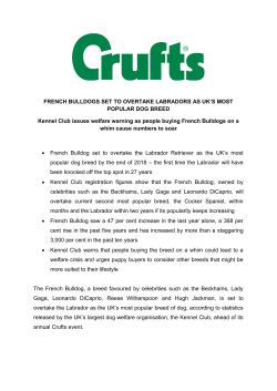 FRENCH BULLDOGS SET TO OVERTAKE LABRADORS