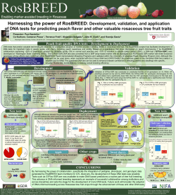 Paul Sandefur RGC7 Poster