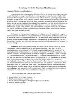 Lab #6 Small Molecule Metabolism