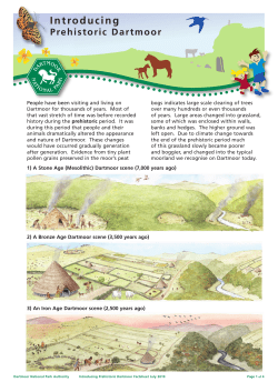 Colour version - Dartmoor National Park