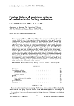 Feeding biology of sunfishes: patterns of variation in the feeding
