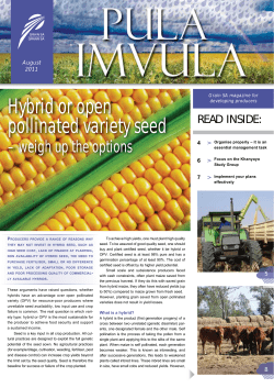Hybrid or open pollinated variety seed
