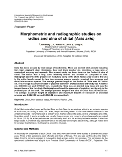 Morphometric and radiographic studies on radius and ulna of chital