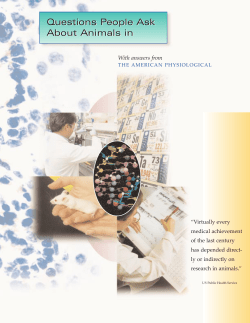 Questions People Ask About Animals in