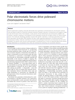 Polar electrostatic forces drive poleward chromosome