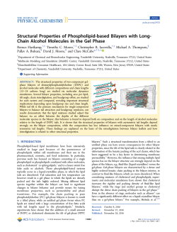 Structural Properties of Phospholipid