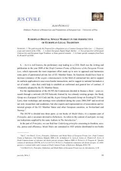 European Digital Single Market in the Perspective