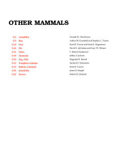 Other Mammals Table Of Contents - Internet Center for Wildlife