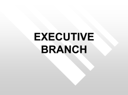 The Texas Executive Branch