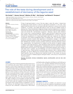 The role of the testa during development and in