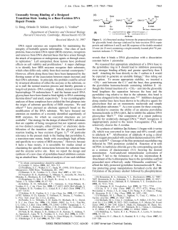 Unusually Strong Binding of a Designed Transition