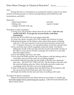 Does Mass Change in Chemical Reactions Lab