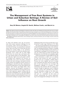The Management of Tree Root Systems in Urban and Suburban