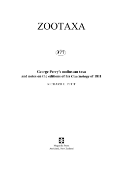 zootaxa - Magnolia press