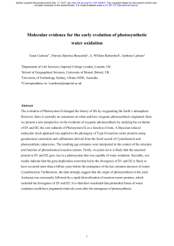 Molecular evidence for the early evolution of