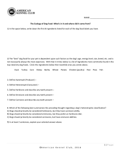 The Ecology of Dog Food- What`s in it and where did it come