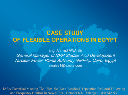 Case Study of Flexible Operations in Egypt