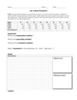 7-4 Lab - Cellular Respiration blank