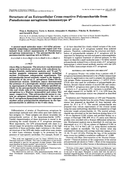 Structure of an Extracellular Cross