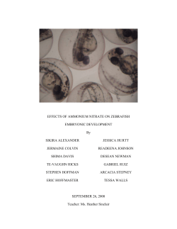 the effects of ammonium nitrate on zebrafish embryonic development