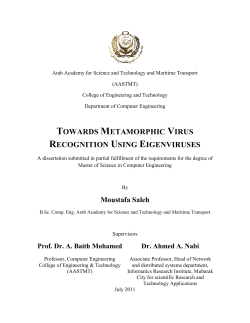 towards metamorphic virus recognition using