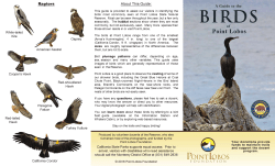 PorNTioBos - Point Lobos Foundation