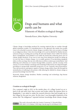 Dogs and humans and what earth can be