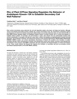 Rho of Plant GTPase Signaling Regulates the