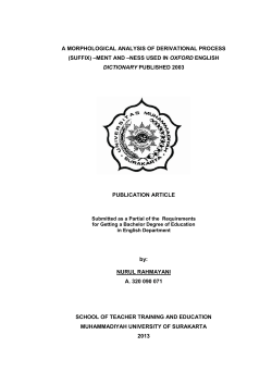 a morphological analysis of derivational process (suffix)
