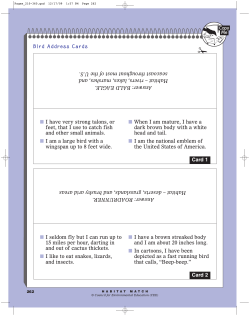 Pages 262-265 - Bird Address Cards