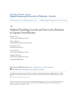 Mallard Duckling Growth and Survival in Relation to Aquatic