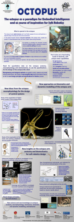 The octopus as a paradigm for Embodied Intelligence and as source
