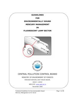 Guidelines for Environmentally Sound Mercury
