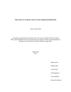 i THE EFFECTS OF BODY SIZE ON SOFT