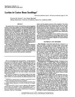Lectins in Castor Bean Seedlings`