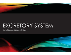 Excretory system - Roslyn Public Schools