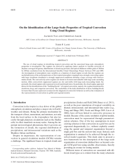 On the Identification of the Large