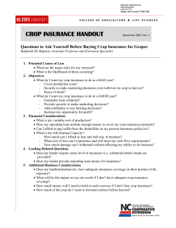 Questions to Ask Yourself Before Buying Crop Insurance for Grapes